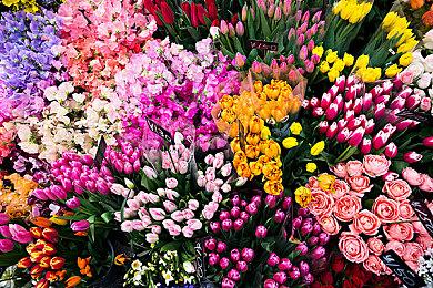 经典弹幕射击新作《Aleste Branch》预告片第二弹